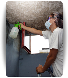mold removal Cleveland